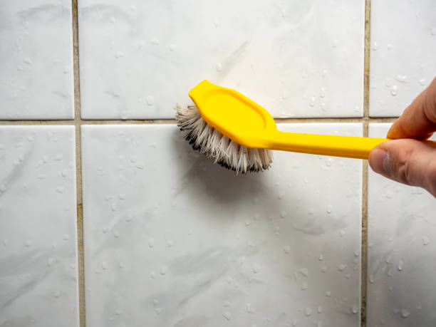 Best Mold Damage Repair  in Dover, NJ